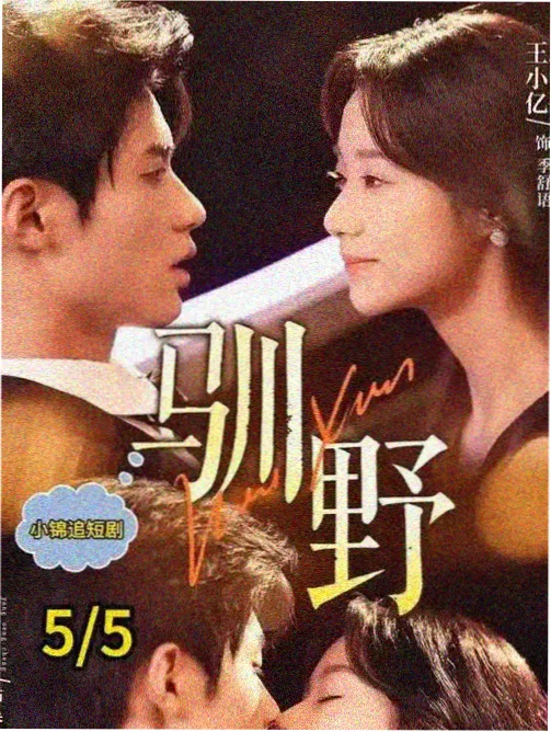山坳放映队片单样本封面